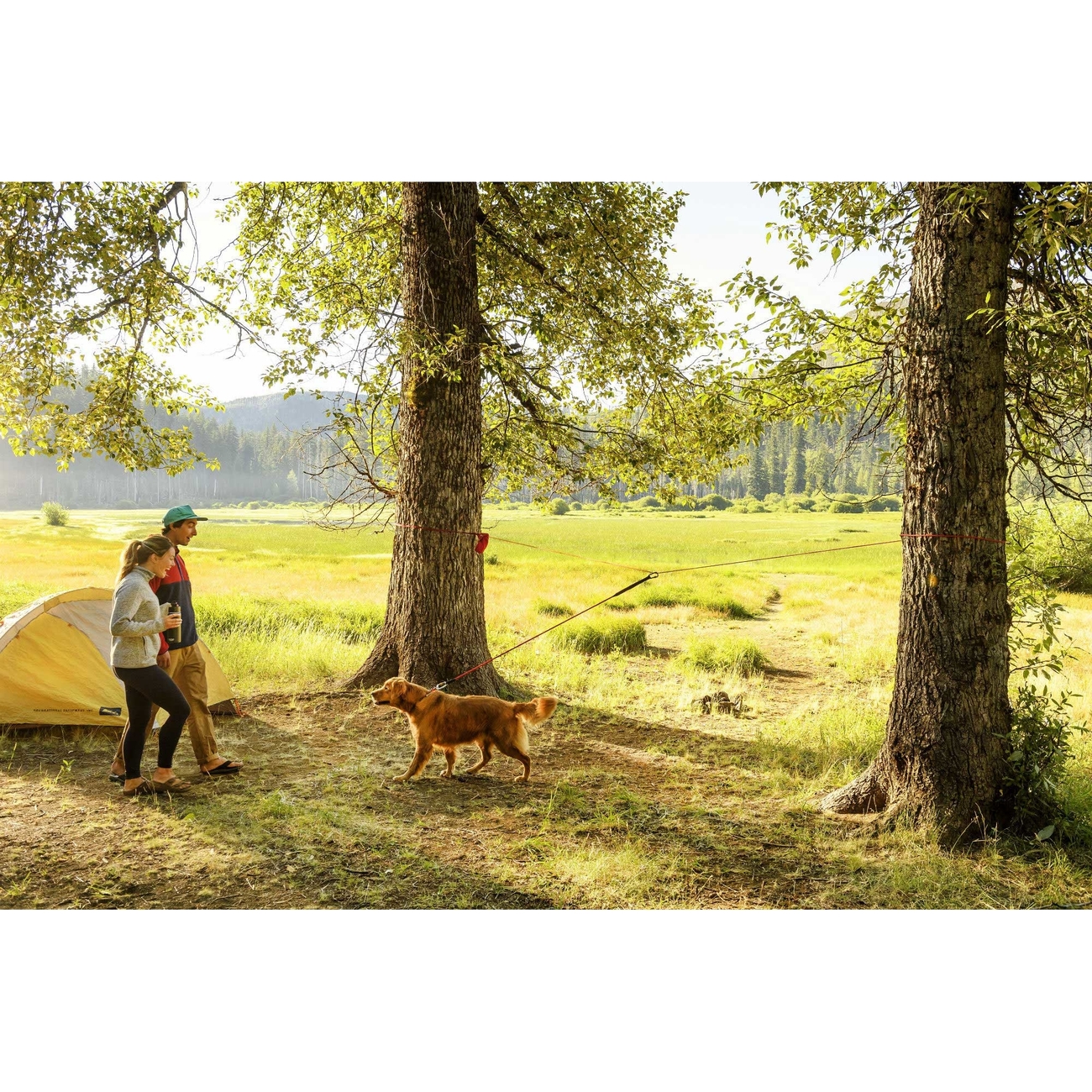 Ruffwear Knot-a-Hitch Befestigungssystem für Hunde Bild 2