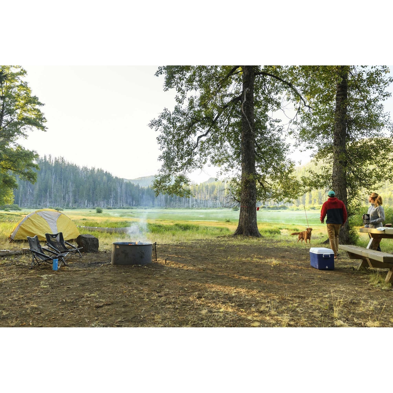 Ruffwear Knot-a-Hitch Befestigungssystem für Hunde Bild 9