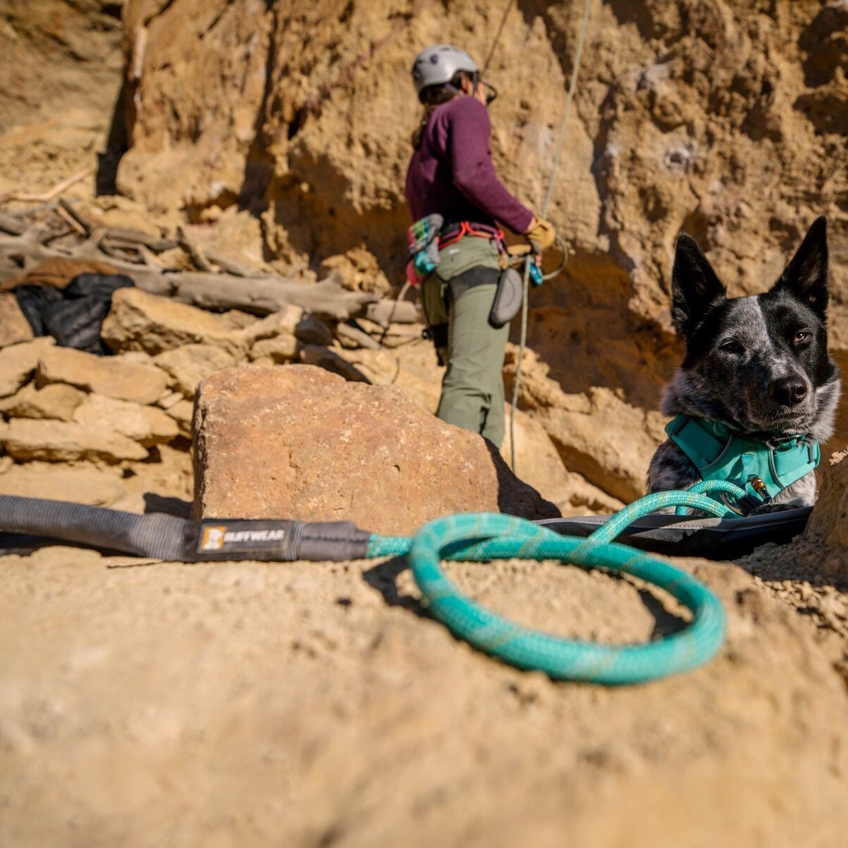 Ruffwear Knot-a-Leash Hundeleine Bild 39