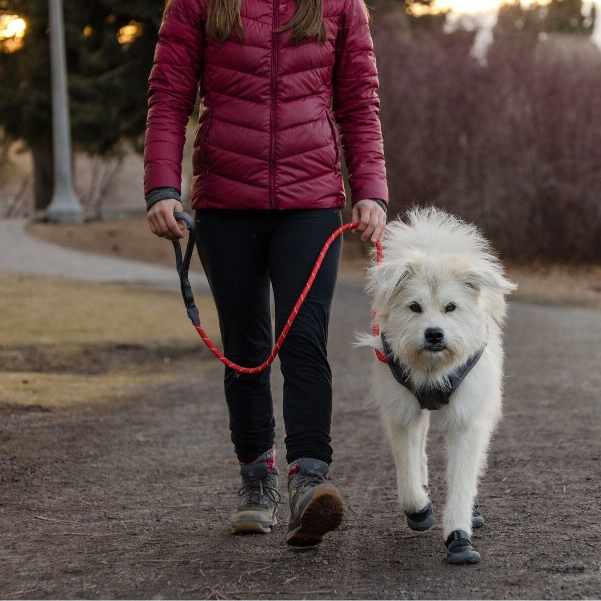 Ruffwear Knot-a-Leash Hundeleine Bild 5