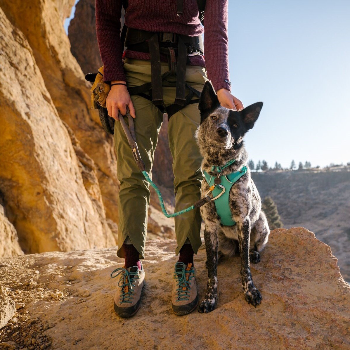 Ruffwear Knot-a-Leash Hundeleine Bild 2