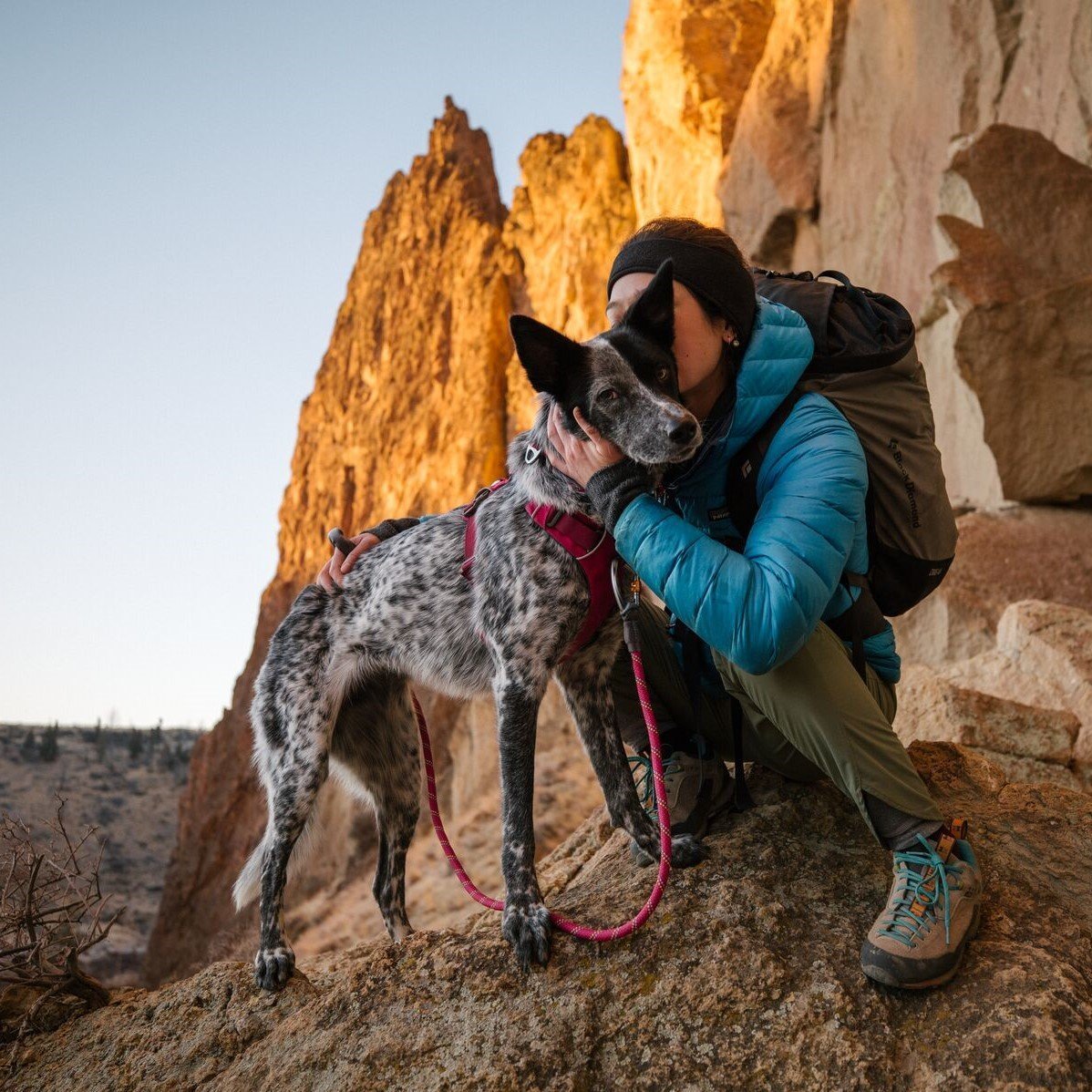 Ruffwear Knot-a-Leash Hundeleine Bild 40