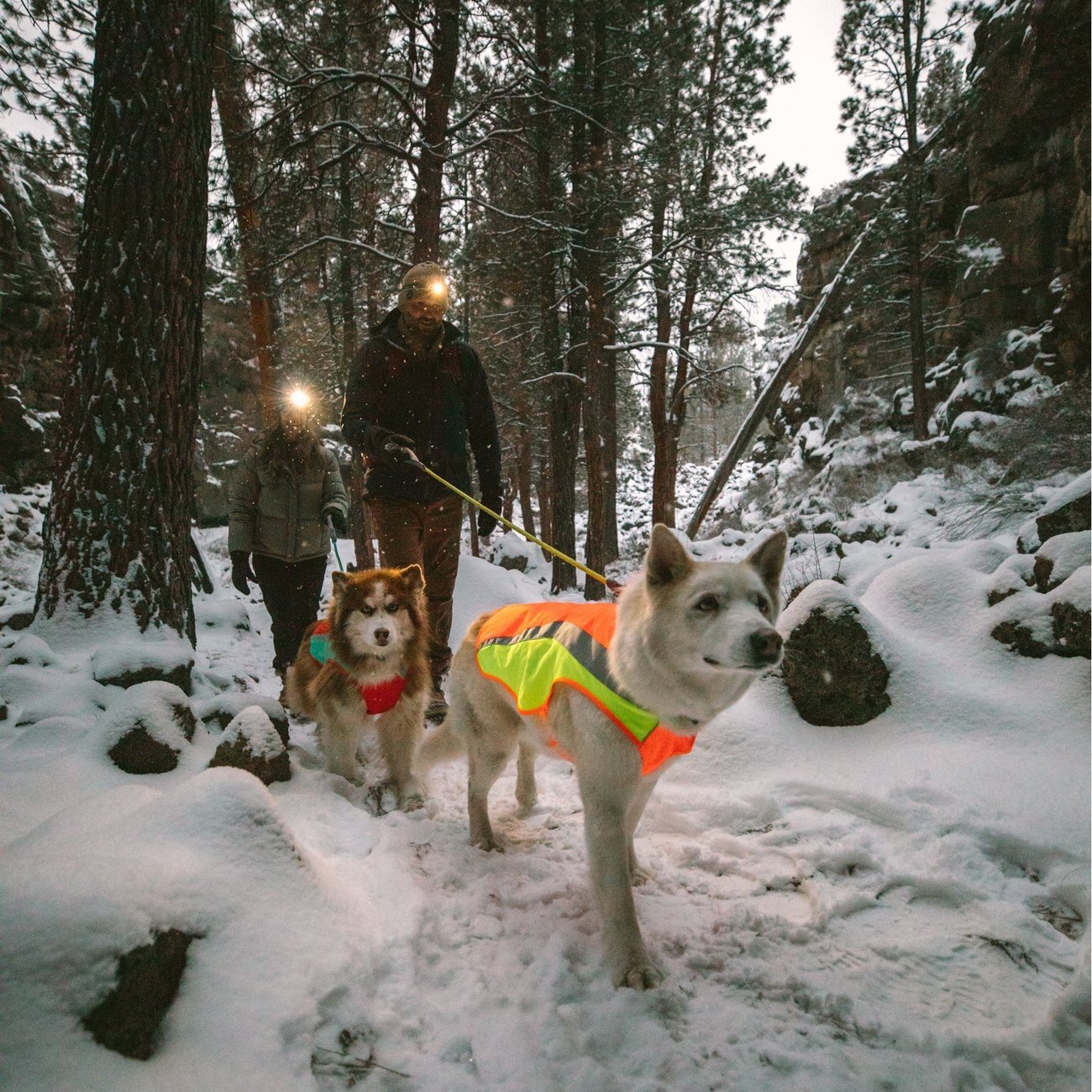 Lumenglow High-Vis Regenmantel Reflex Bild 24