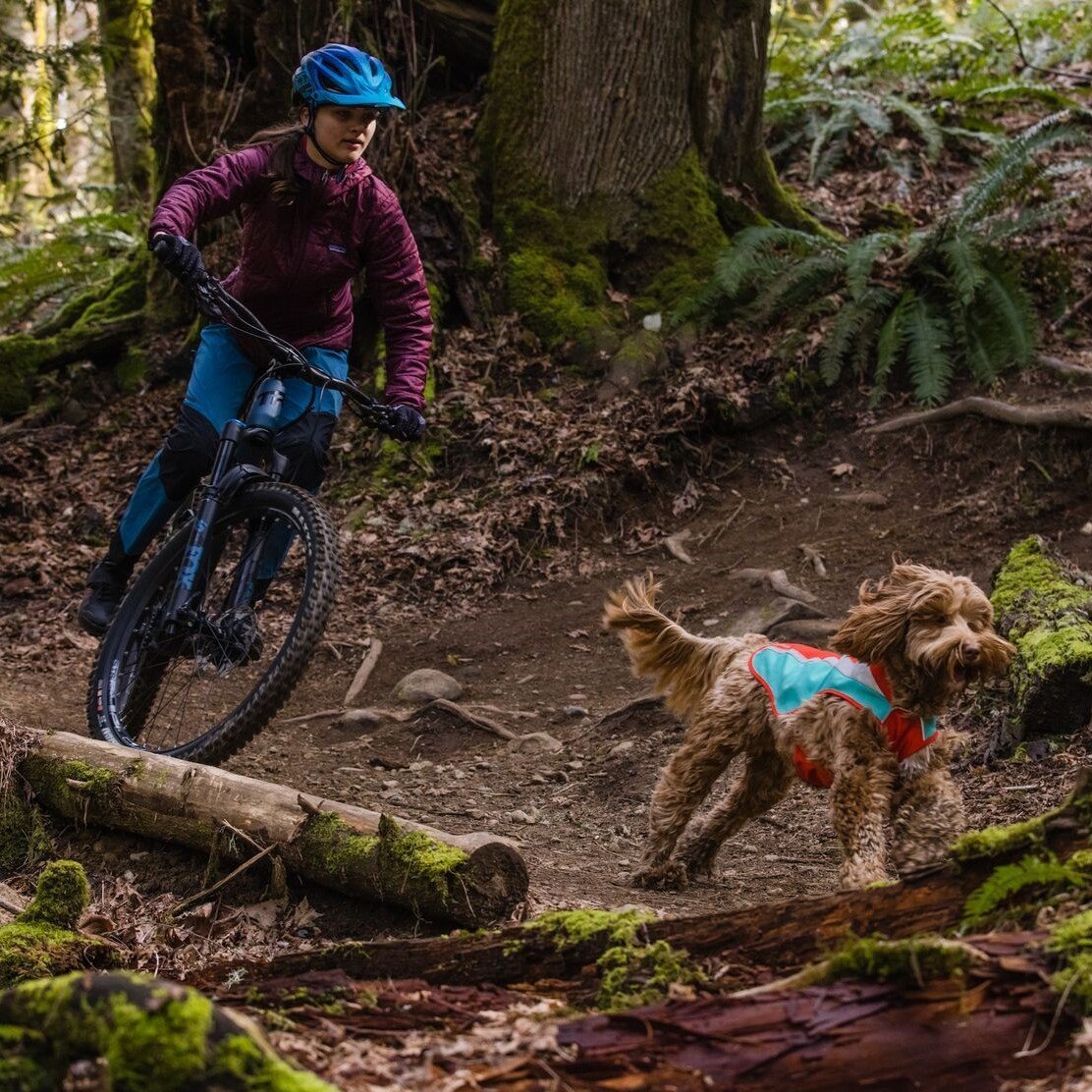 Lumenglow High-Vis Regenmantel Reflex Bild 4