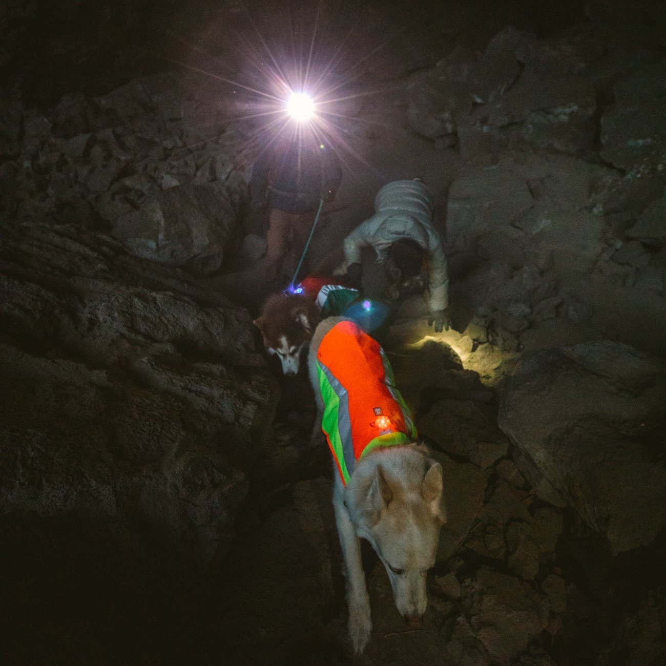 Lumenglow High-Vis Regenmantel Reflex Bild 26