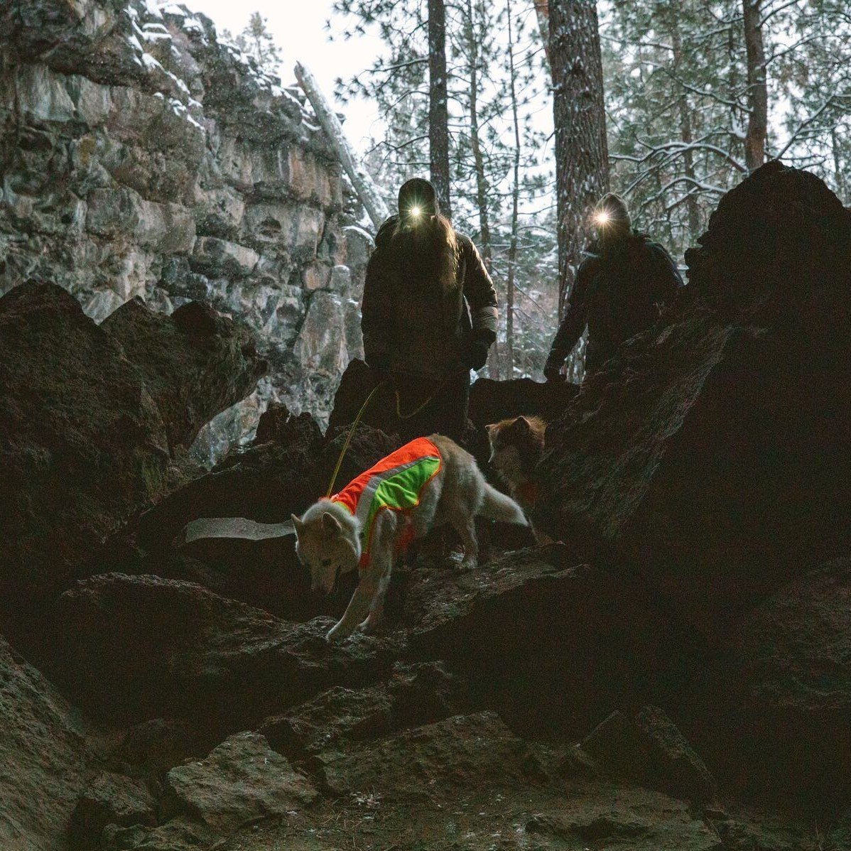 Lumenglow High-Vis Regenmantel Reflex Bild 32