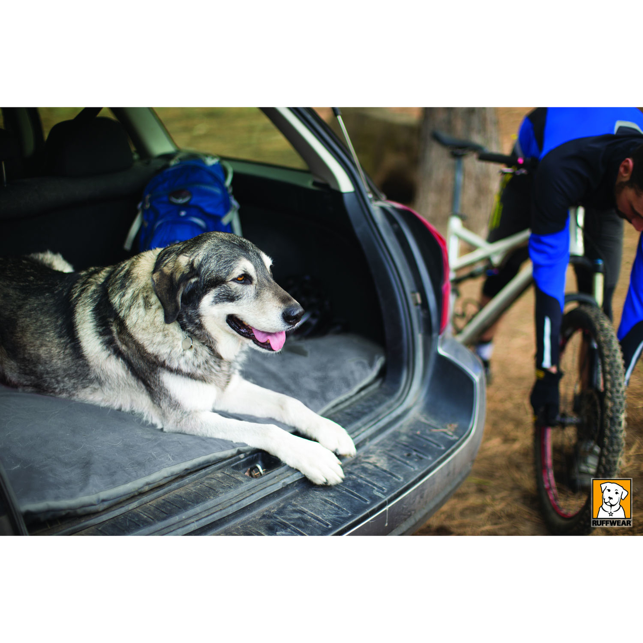 Ruffwear Mt. Bachelor Pad Hundebett Reisebett Bild 4