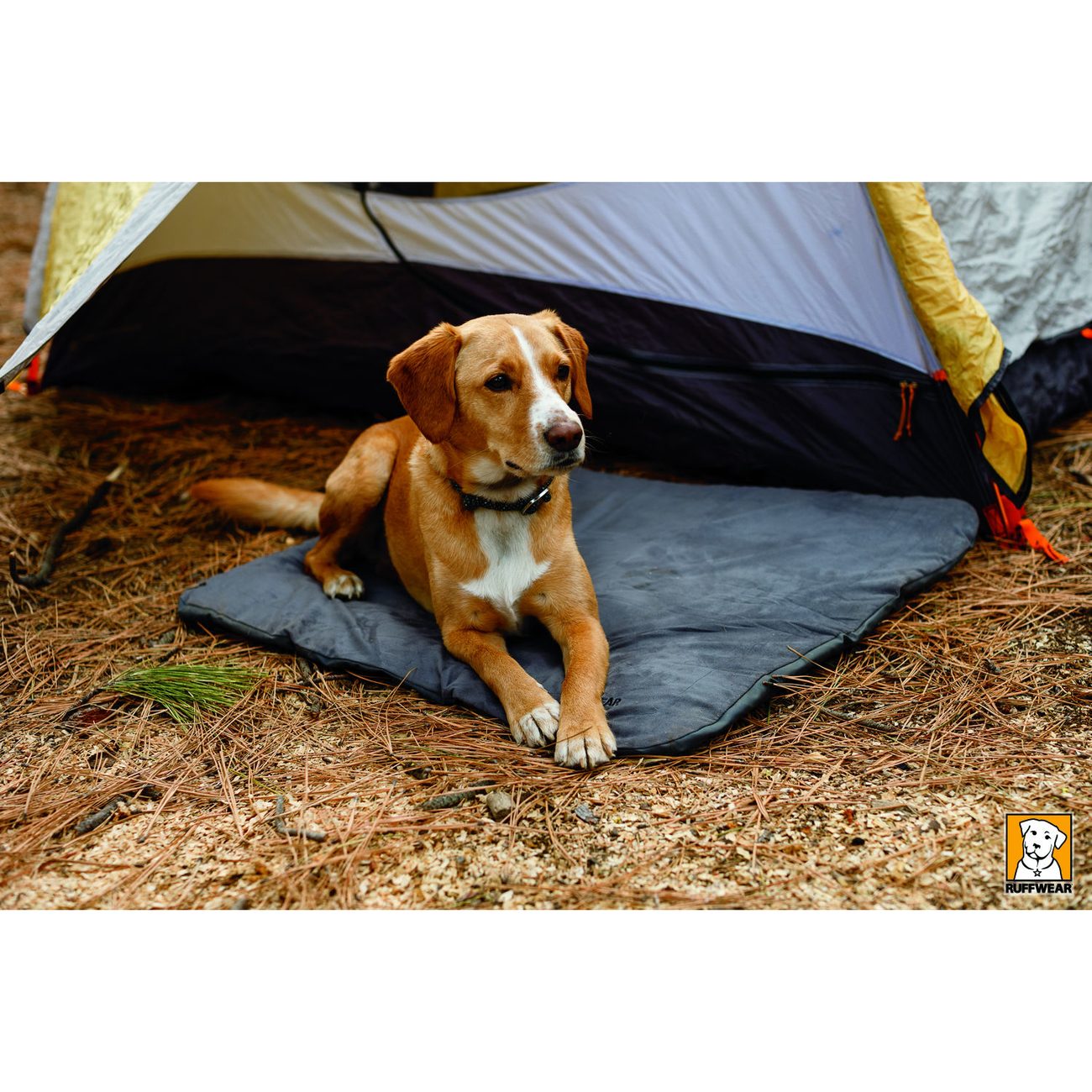 Ruffwear Mt. Bachelor Pad Hundebett Reisebett Bild 6