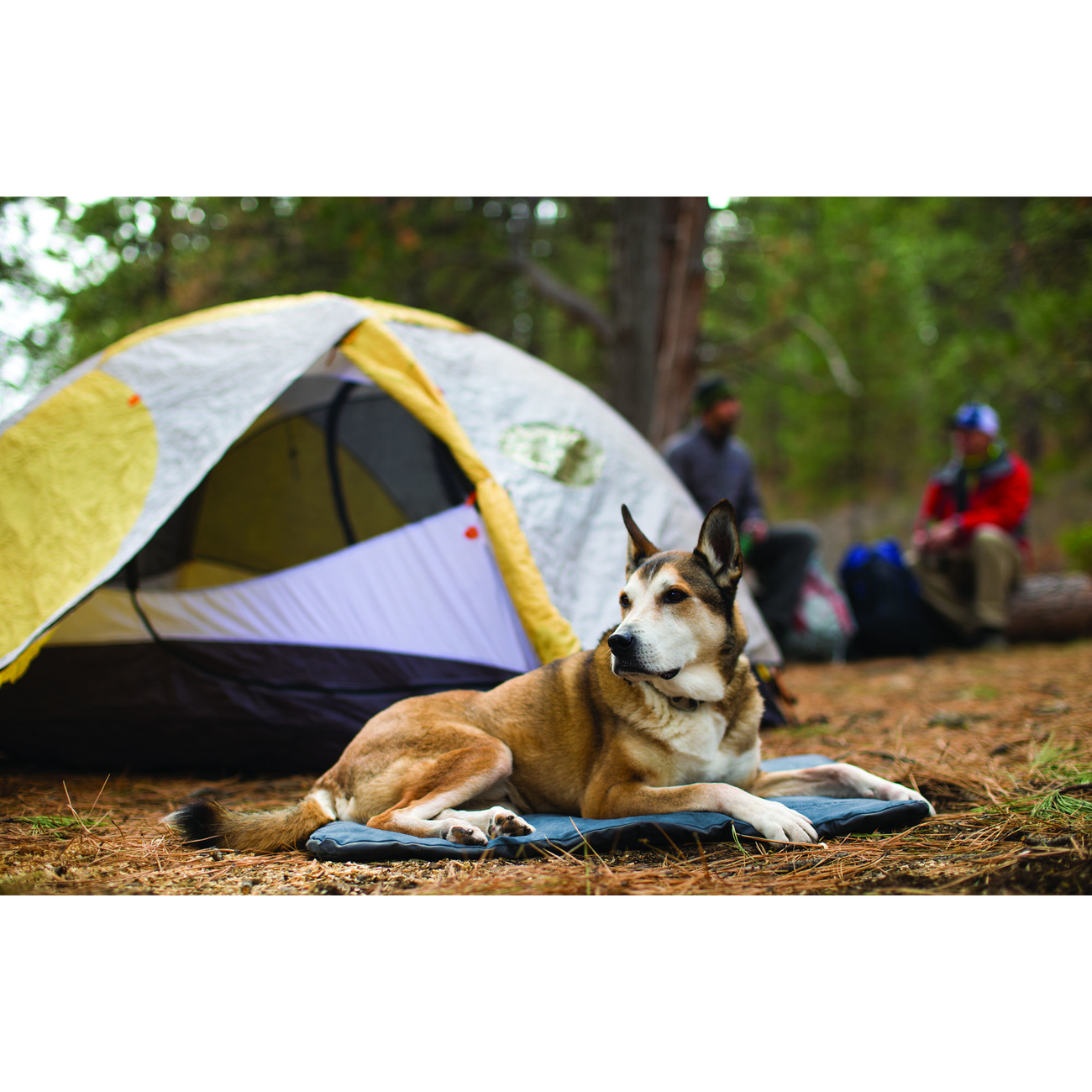 Ruffwear Mt. Bachelor Pad Hundebett Reisebett Bild 8