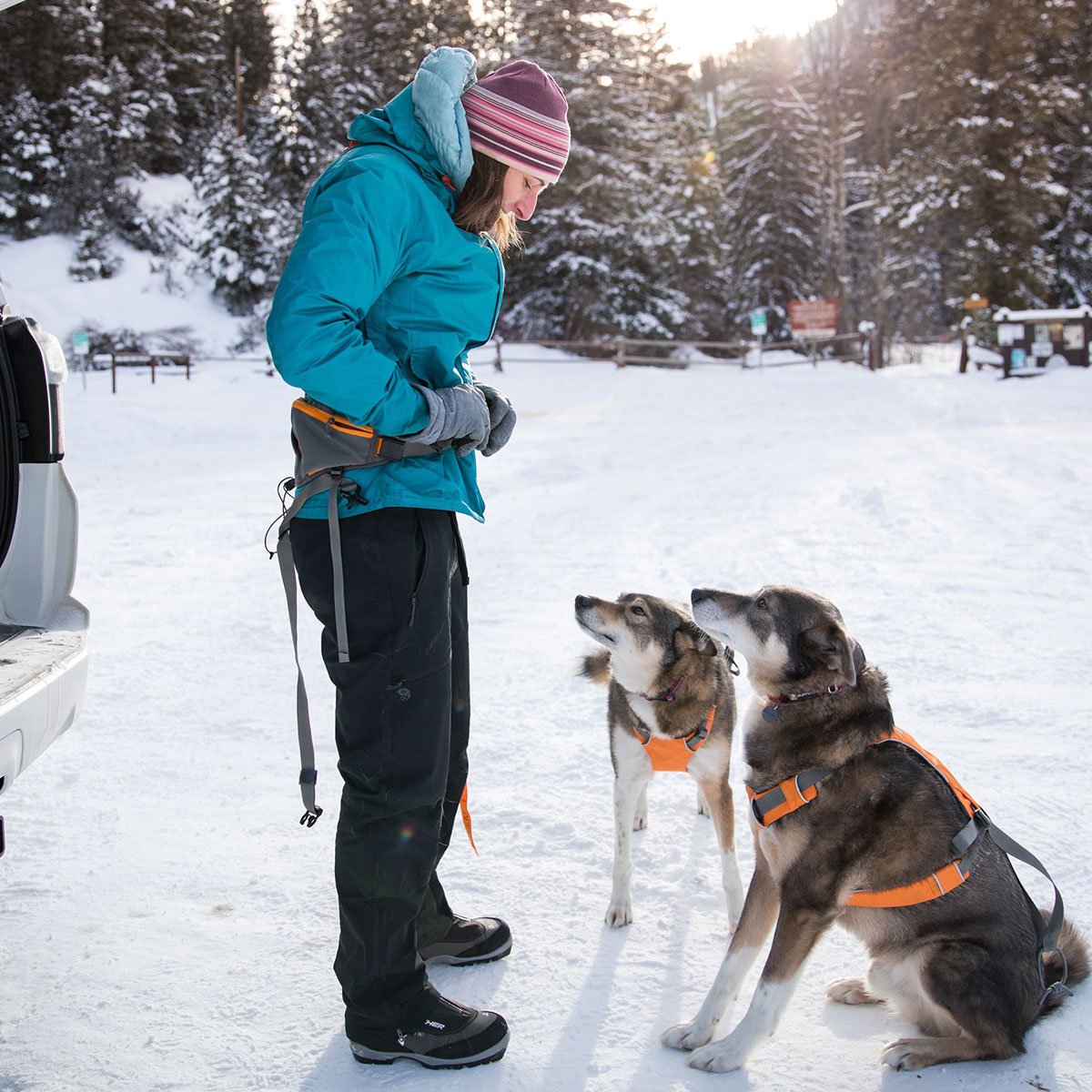 Ruffwear Omnijore™ Hipbelt Hüftgurt Bild 3
