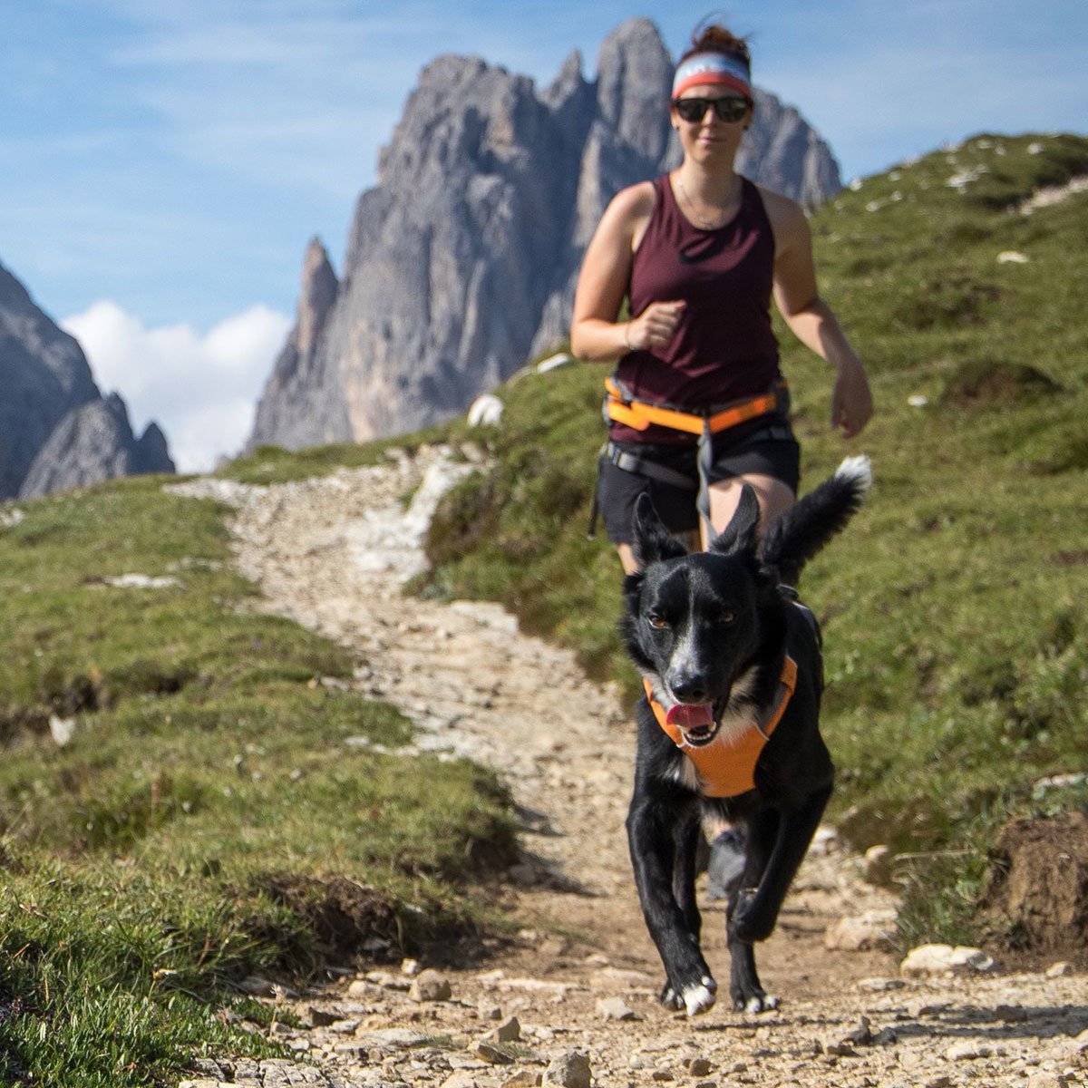 Ruffwear Omnijore™ Hipbelt Hüftgurt Bild 2