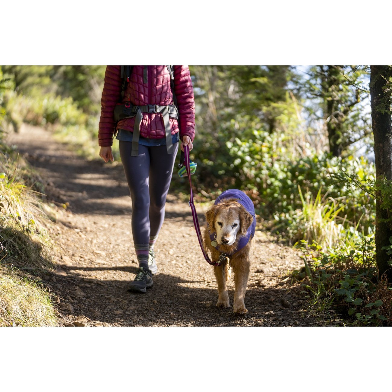 Ruffwear Overcoat Fuse Hundejacke Bild 18