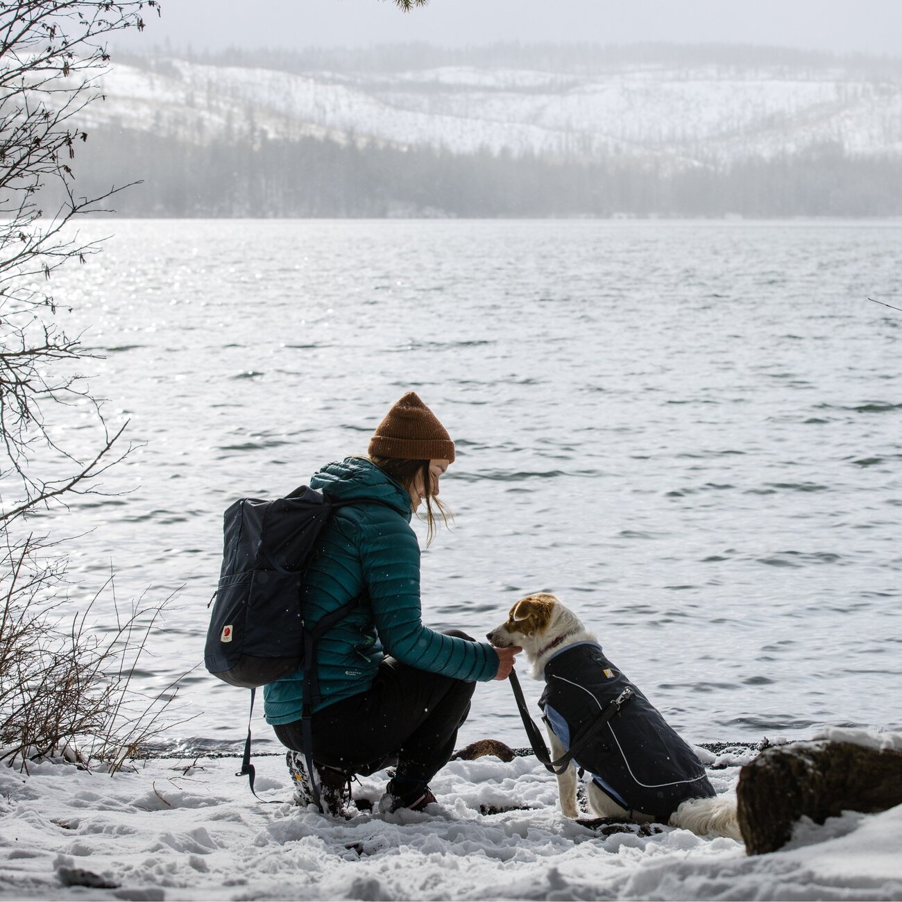 Overcoat Fuse Hundeweste Bild 2