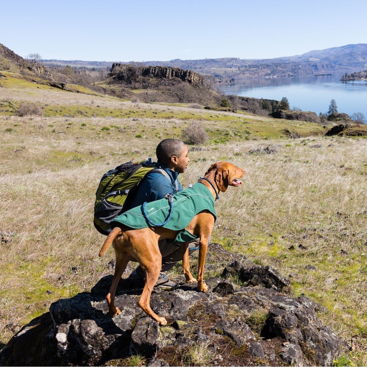 Overcoat Fuse Hundeweste Bild 20