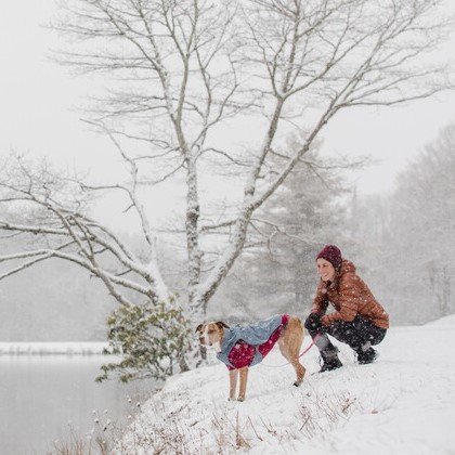 Ruffwear Overcoat Utility Jacket für Hunde Bild 5