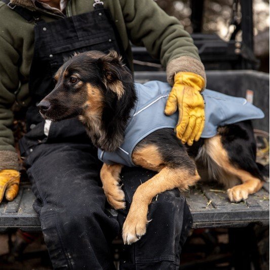 Ruffwear Overcoat Utility Jacket für Hunde Bild 4