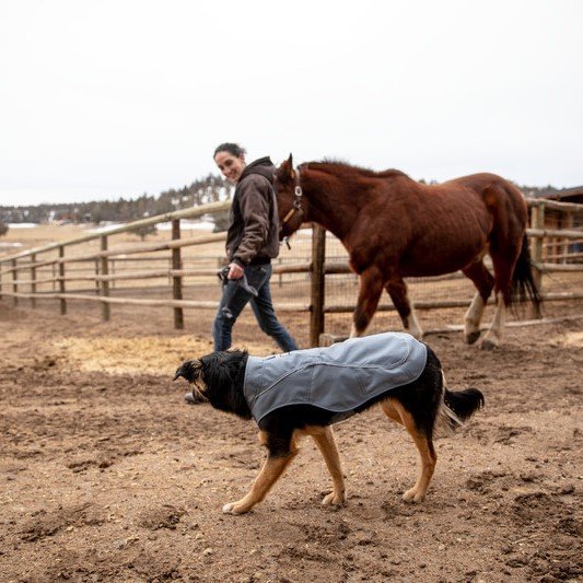 Ruffwear Overcoat Utility Jacket für Hunde Bild 2