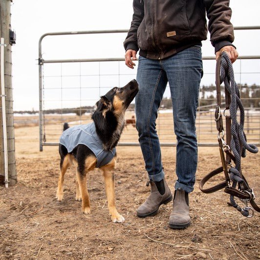 Ruffwear Overcoat Utility Jacket für Hunde Bild 3