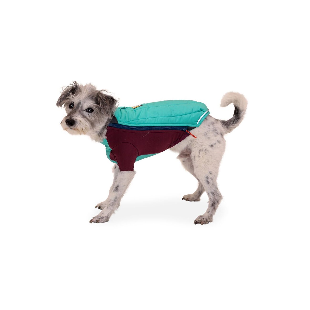 Powder Hound Wintermantel für Hunde Bild 3