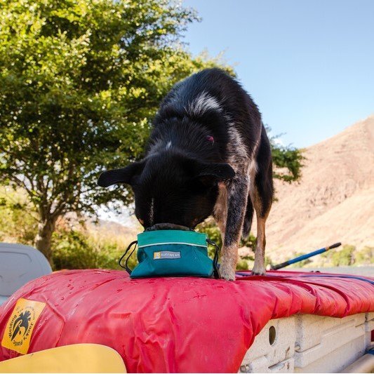 Ruffwear Quencher Cinch Top Reisenapf Hundenapf Bild 5