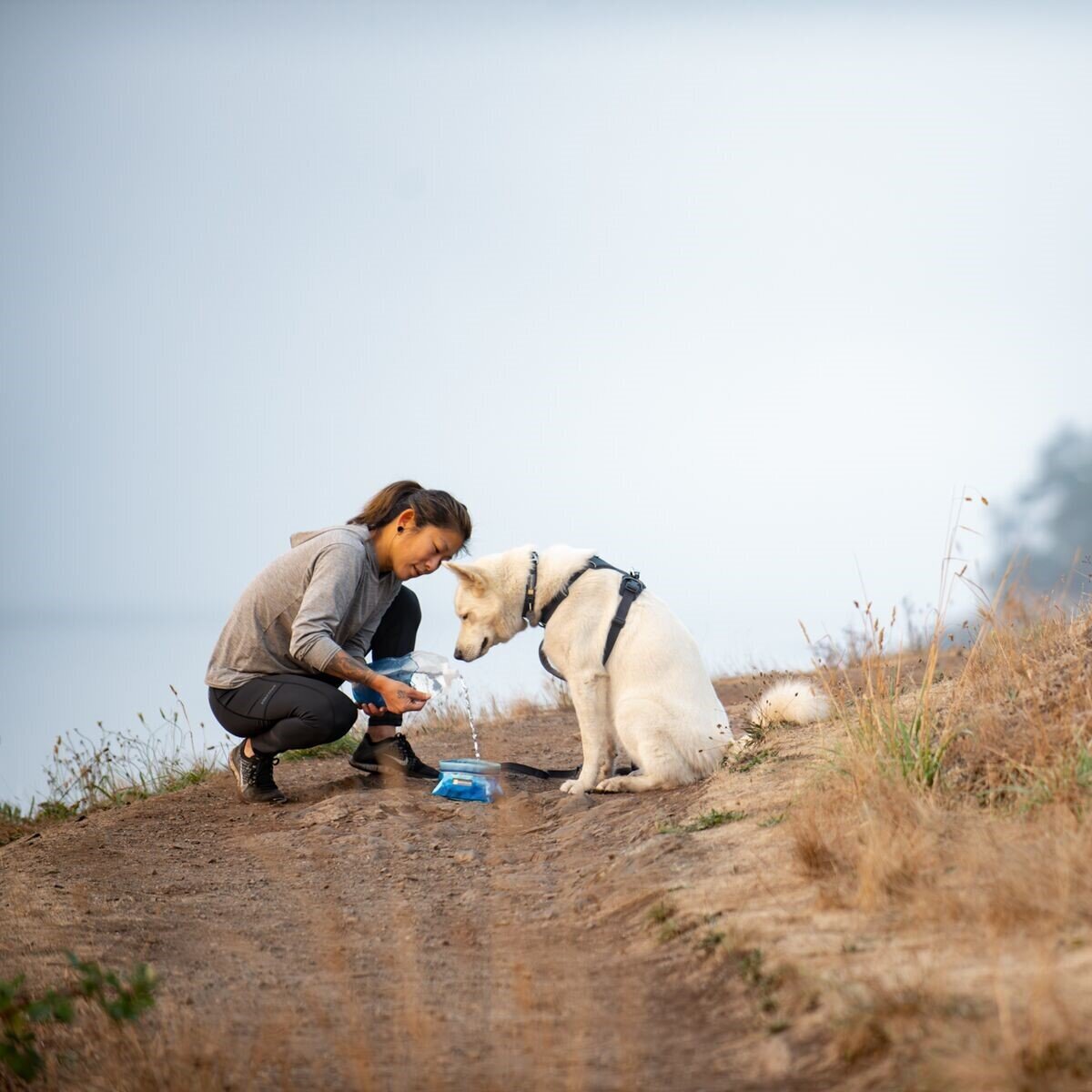 Quencher Reisenapf Bild 5