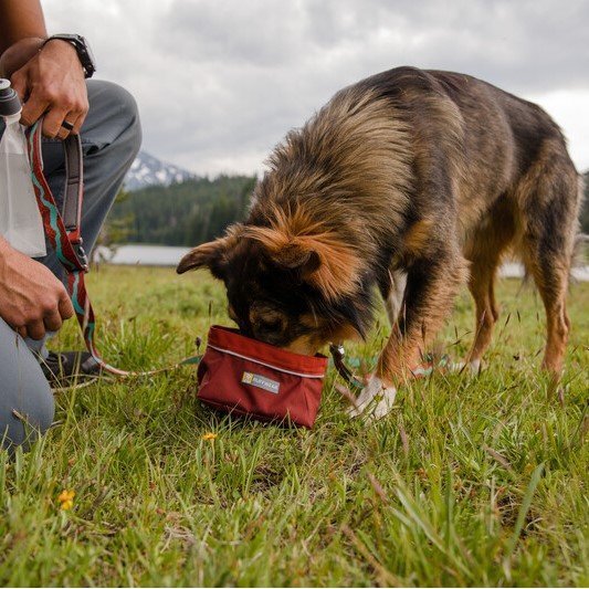 Quencher Reisenapf Outdoor Hundenapf Bild 9