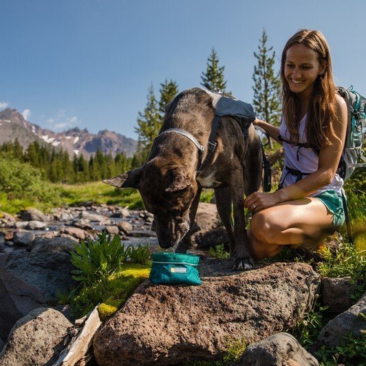 Quencher Reisenapf Outdoor Hundenapf Bild 4