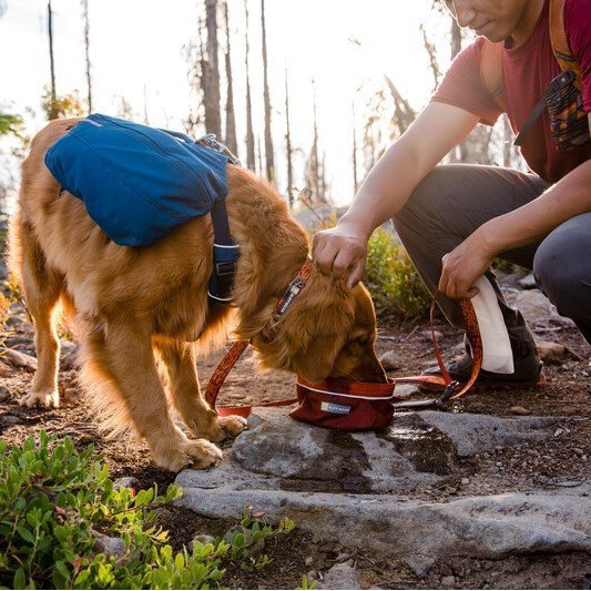Quencher Reisenapf Outdoor Hundenapf Bild 10