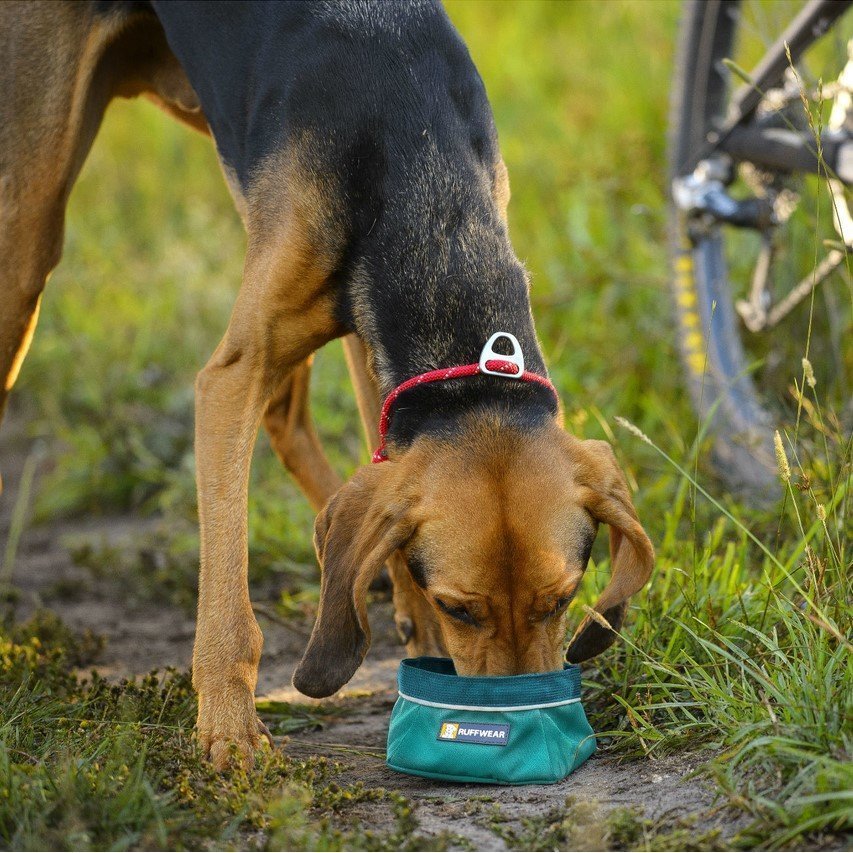 Quencher Reisenapf Outdoor Hundenapf Bild 2