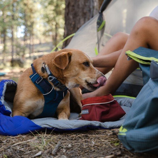 Quencher Reisenapf Outdoor Hundenapf Bild 8