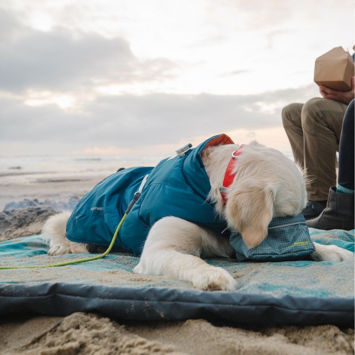 Ruffwear Quinzee Hundemantel gefüttert Bild 6