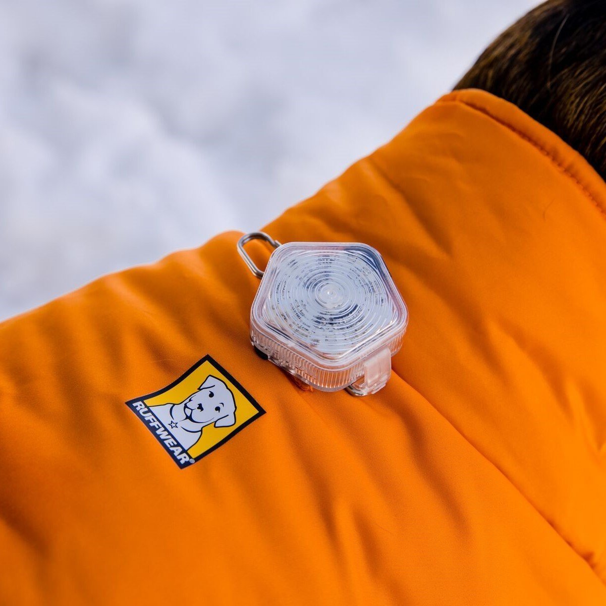 Ruffwear Quinzee Hundemantel gefüttert Bild 40