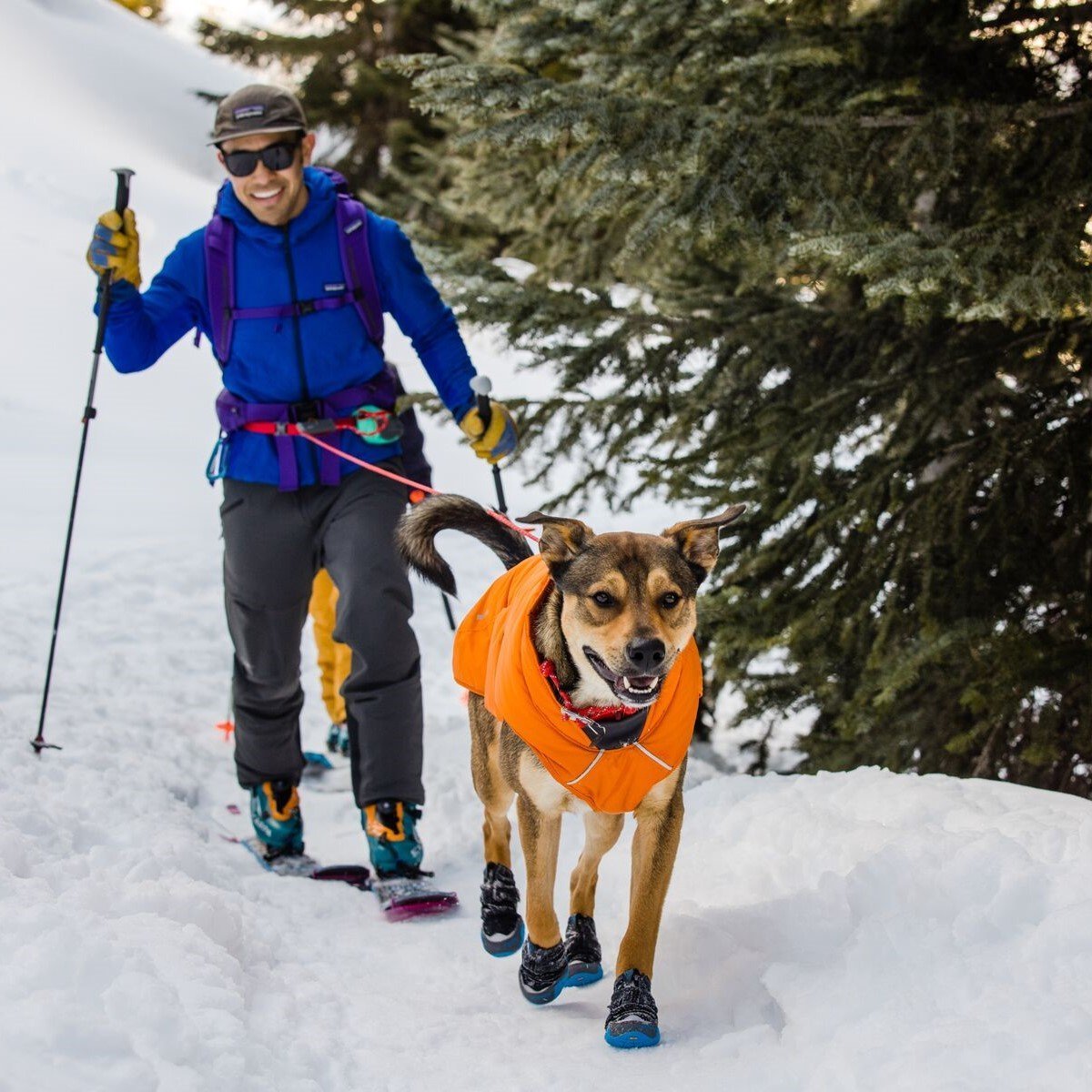 Ruffwear Quinzee Hundemantel gefüttert Bild 2