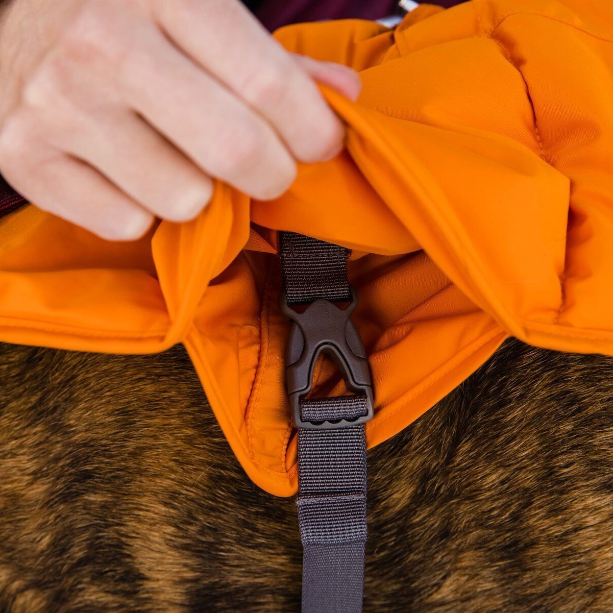 Ruffwear Quinzee Hundemantel gefüttert Bild 43