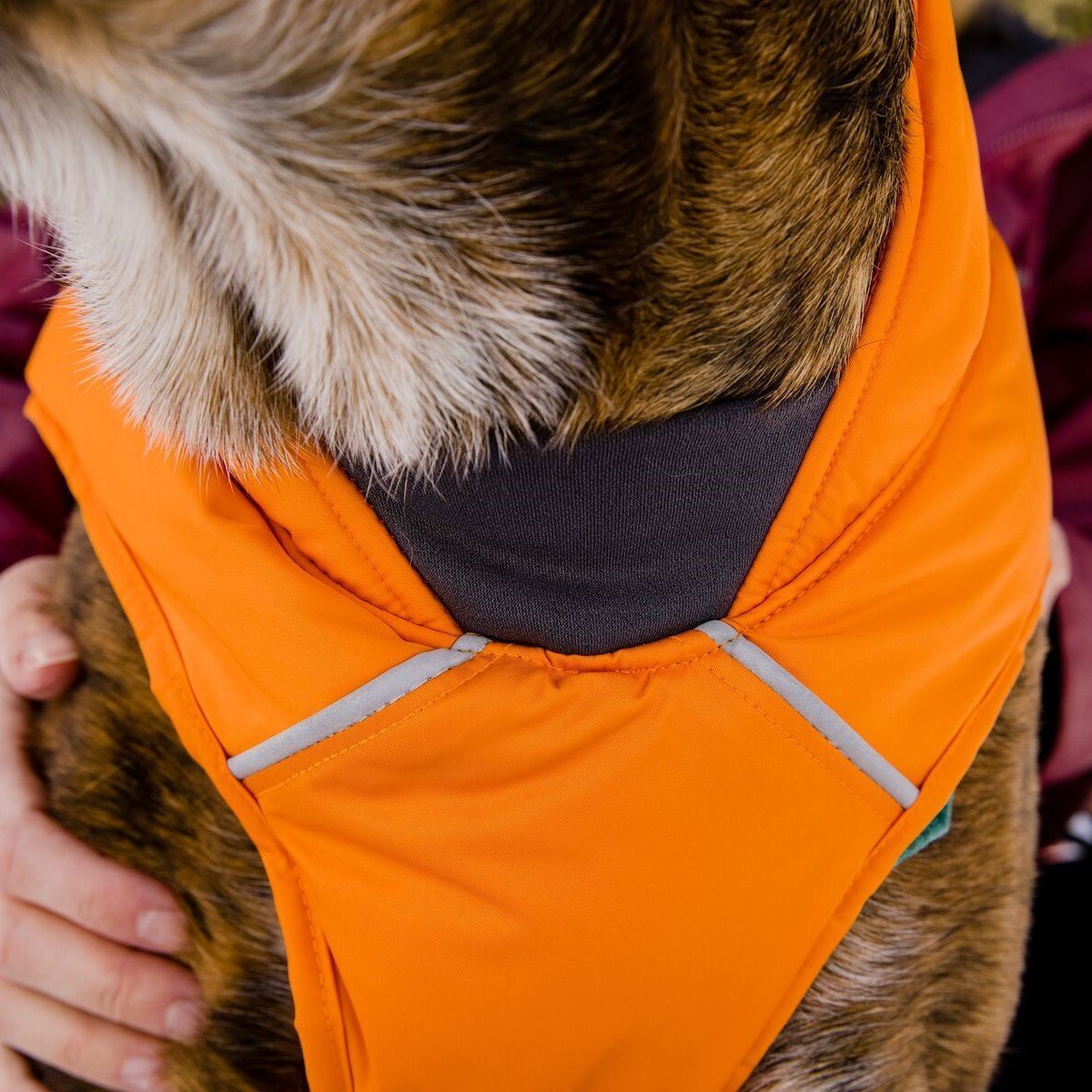 Ruffwear Quinzee Hundemantel gefüttert Bild 46