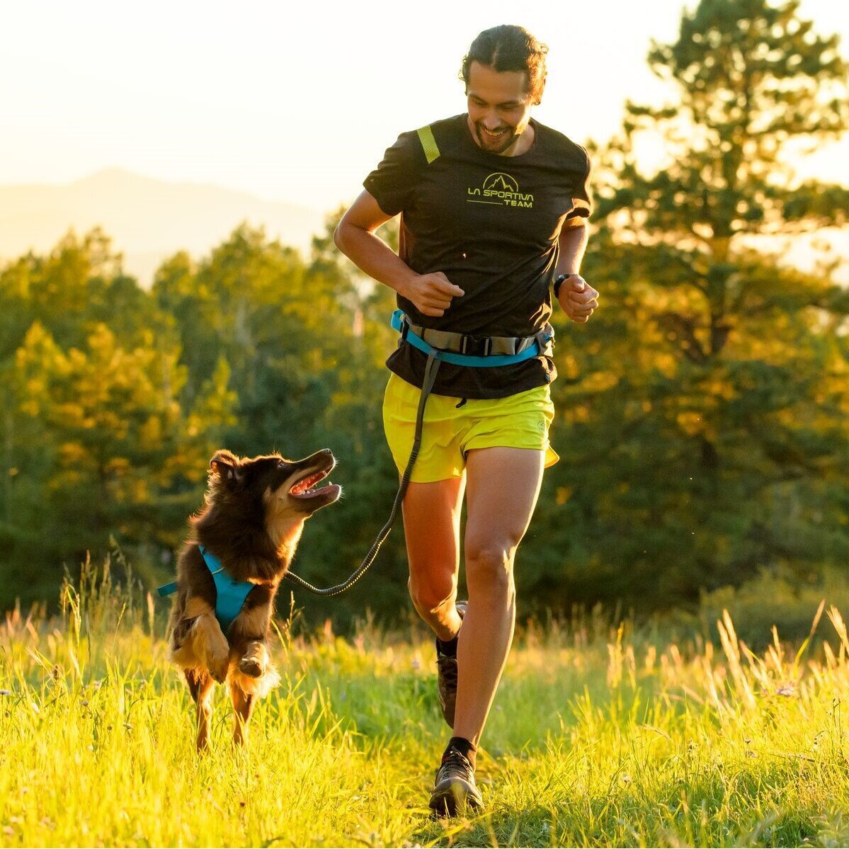 Ridgeline Leash Hundeleine Bild 2