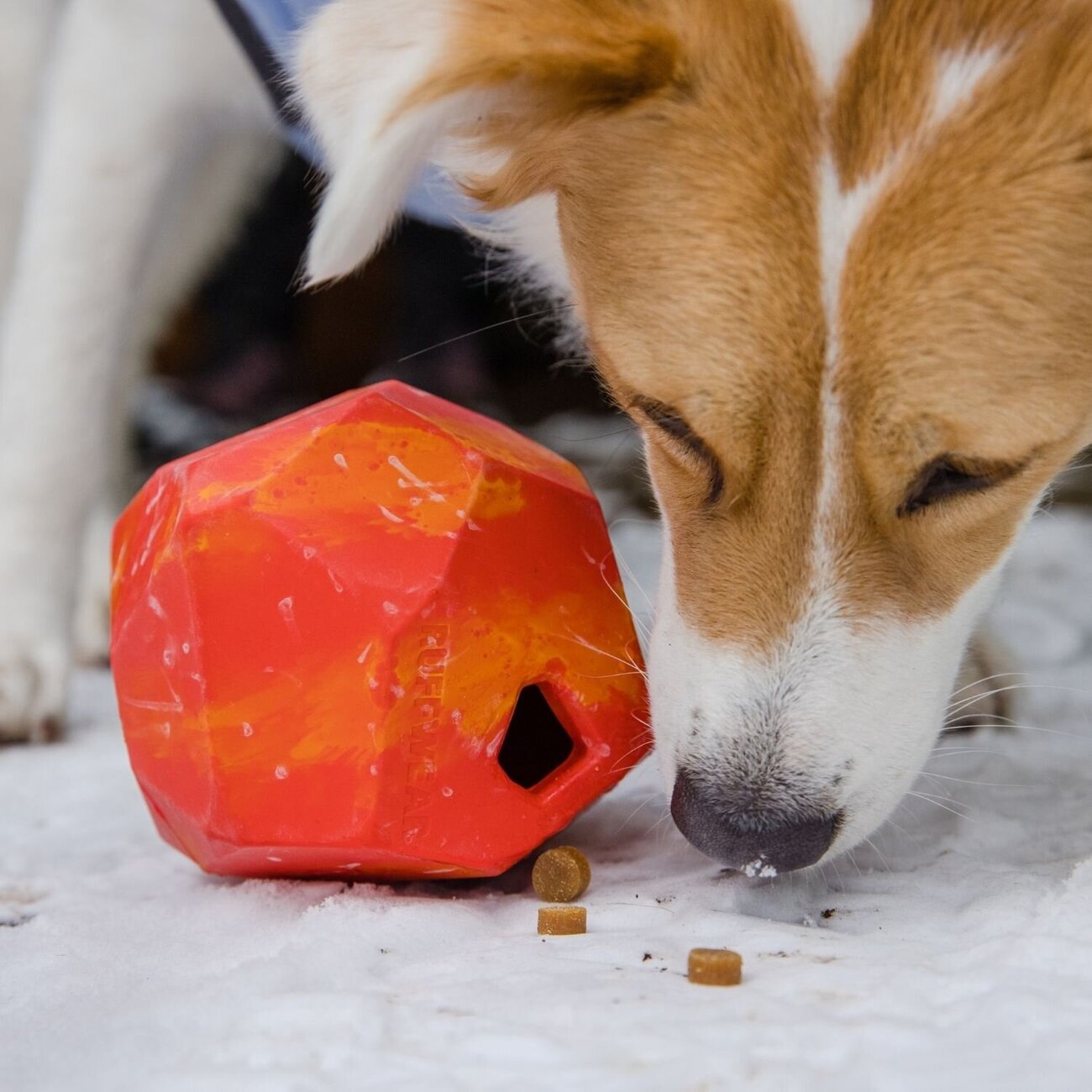 Ruffwear Spielzeug für Hunde Gnawt-a-Rock Bild 13