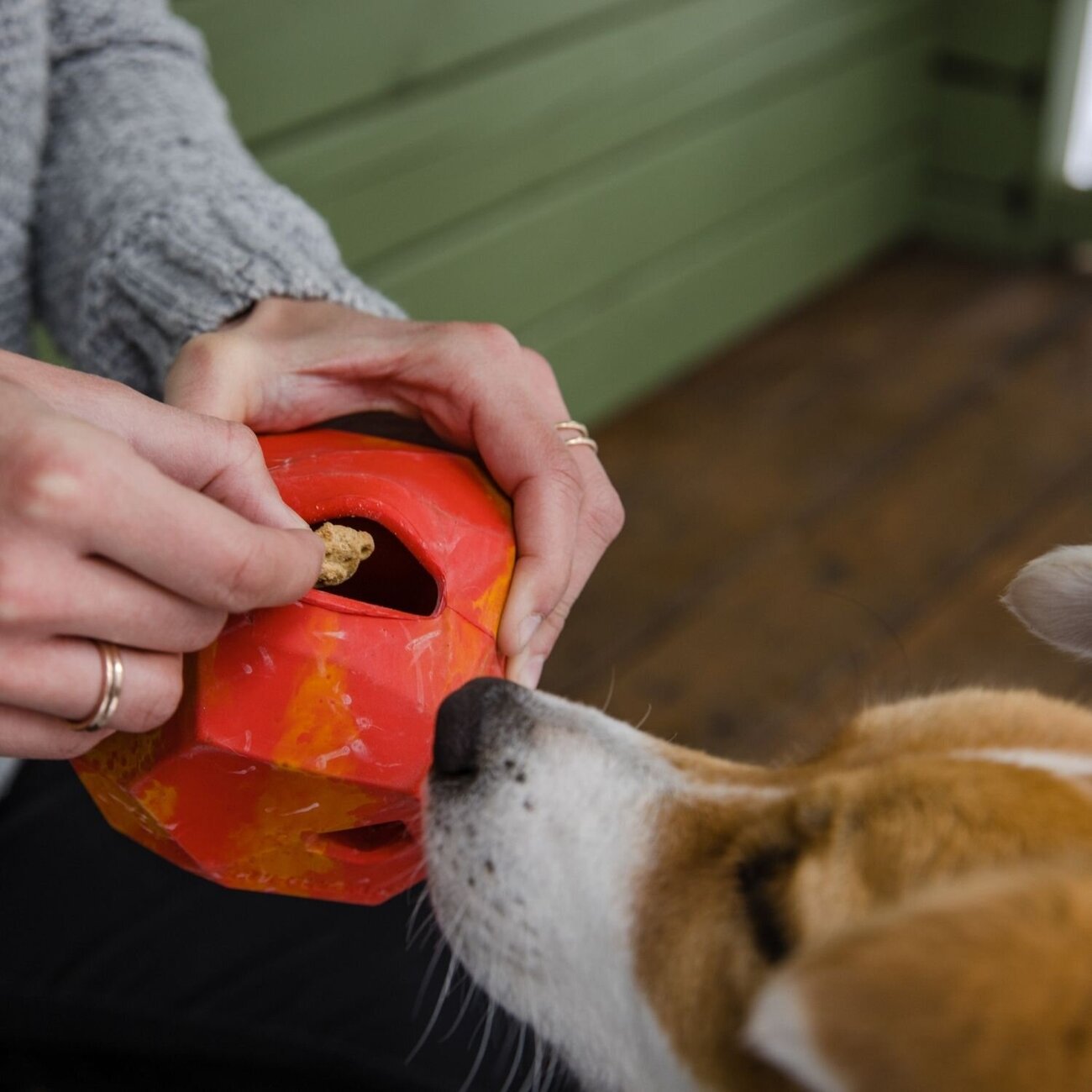 Ruffwear Spielzeug für Hunde Gnawt-a-Rock Bild 2