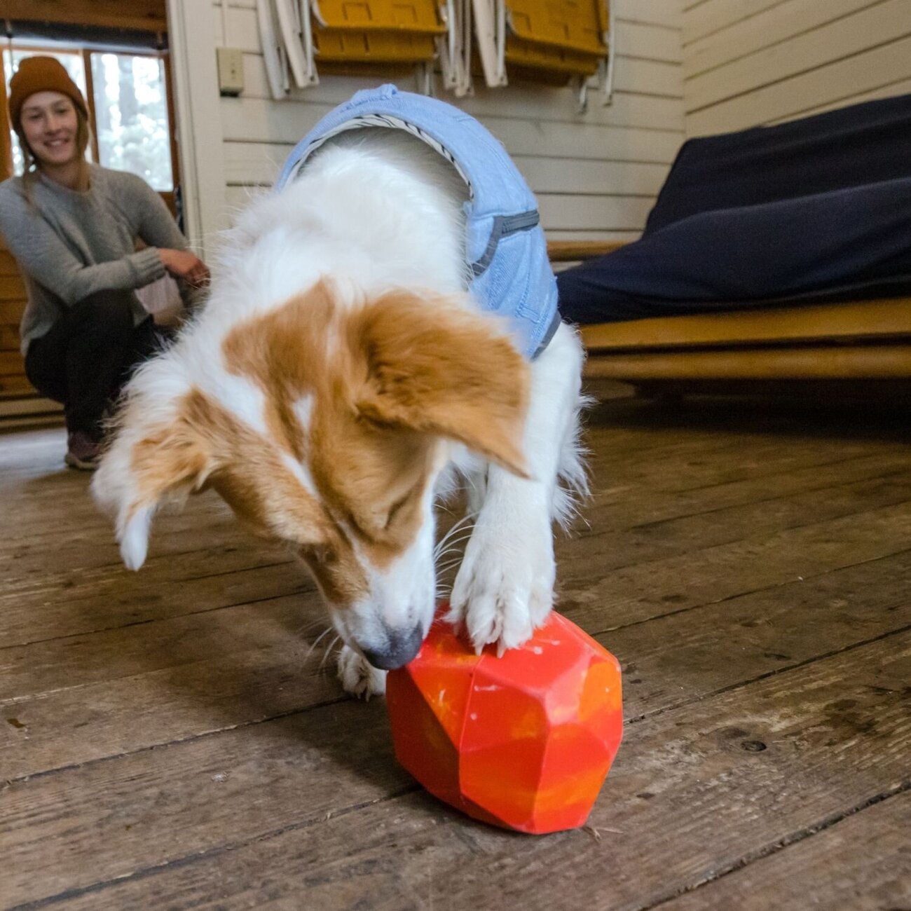 Ruffwear Spielzeug für Hunde Gnawt-a-Rock Bild 17