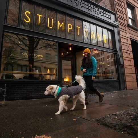 Ruffwear Stumptown Hundemantel Bild 5