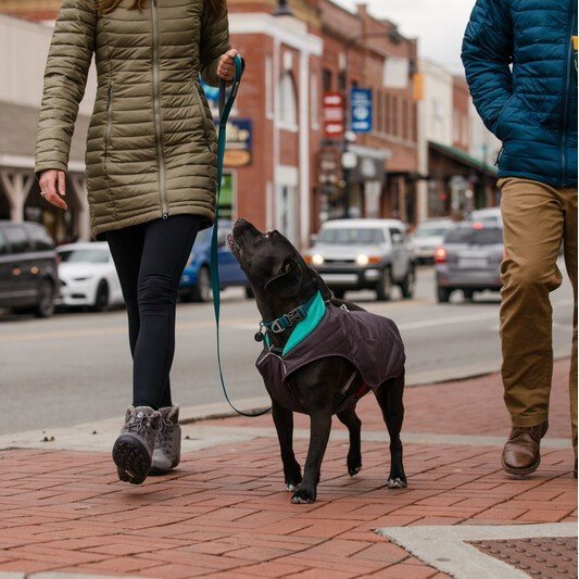 Ruffwear Stumptown Hundemantel Bild 2
