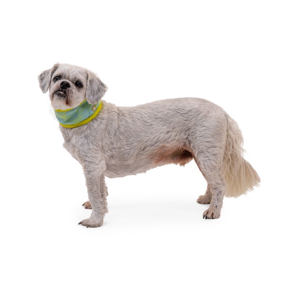 Swamp Cooler™ Halstuch Bild 2