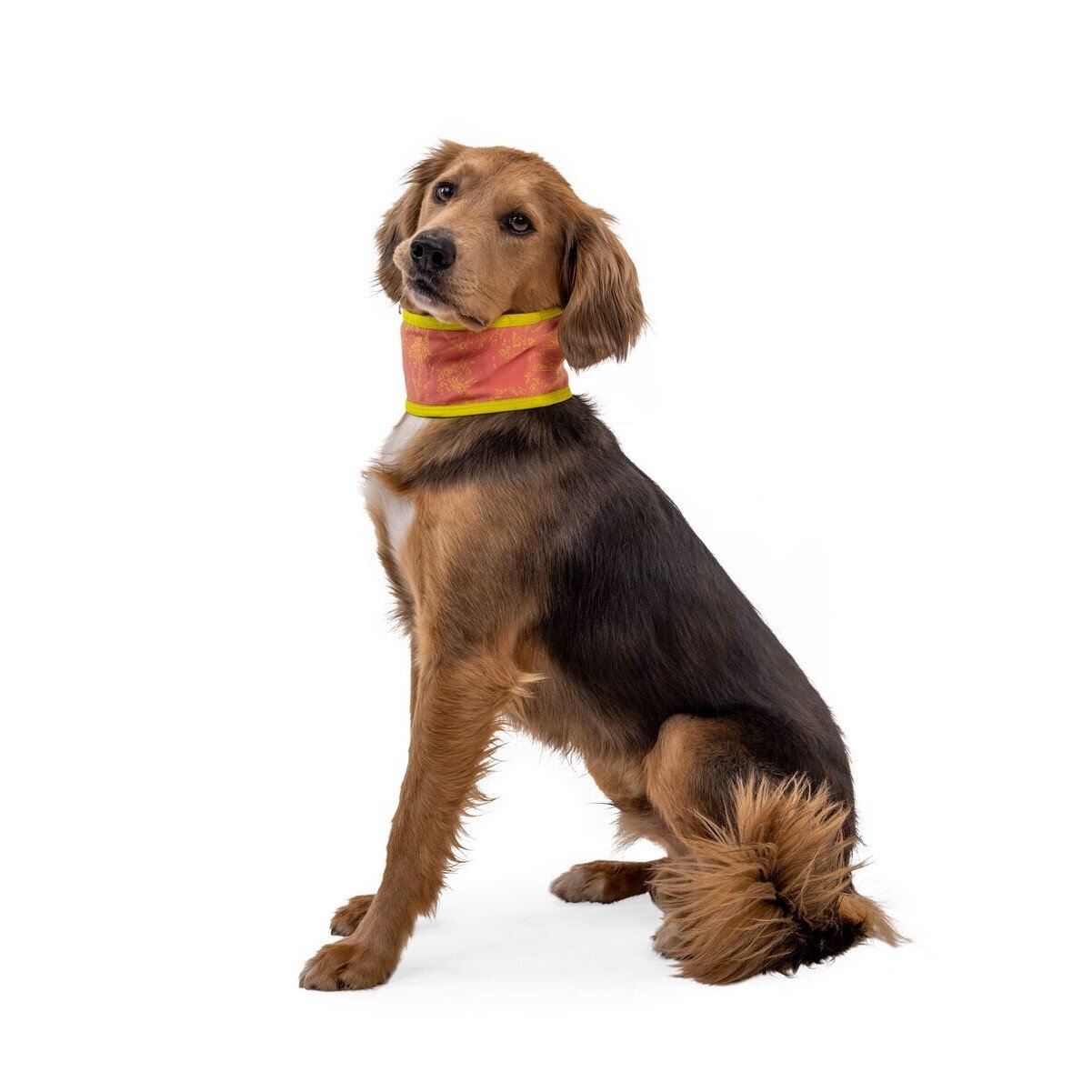 Swamp Cooler™ Halstuch Bild 7