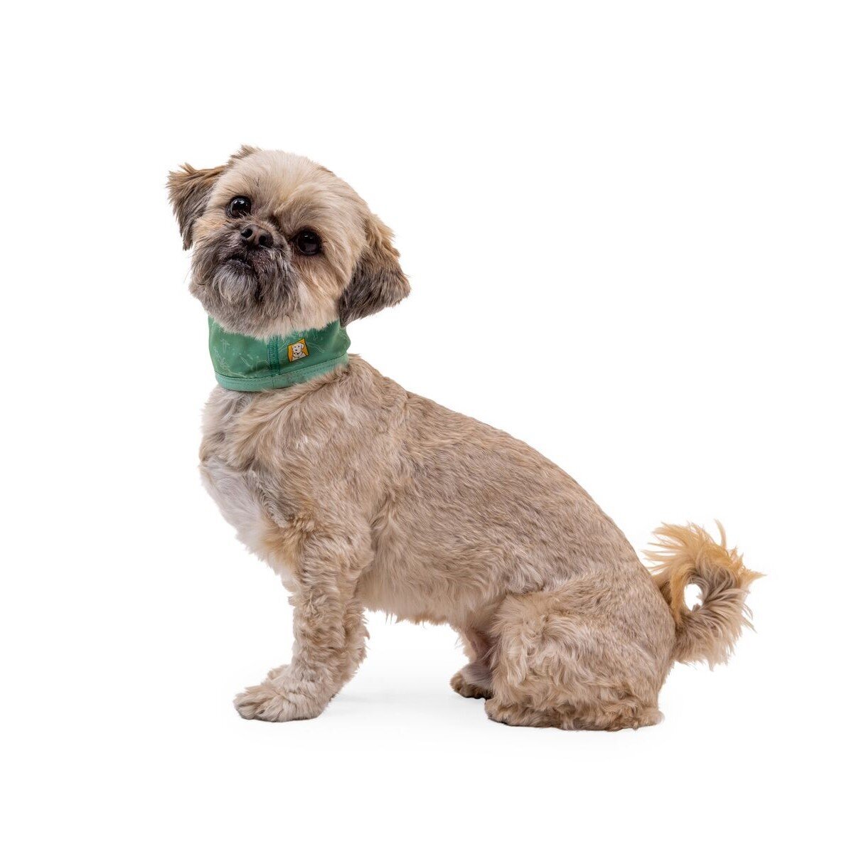 Swamp Cooler™ Halstuch Bild 11