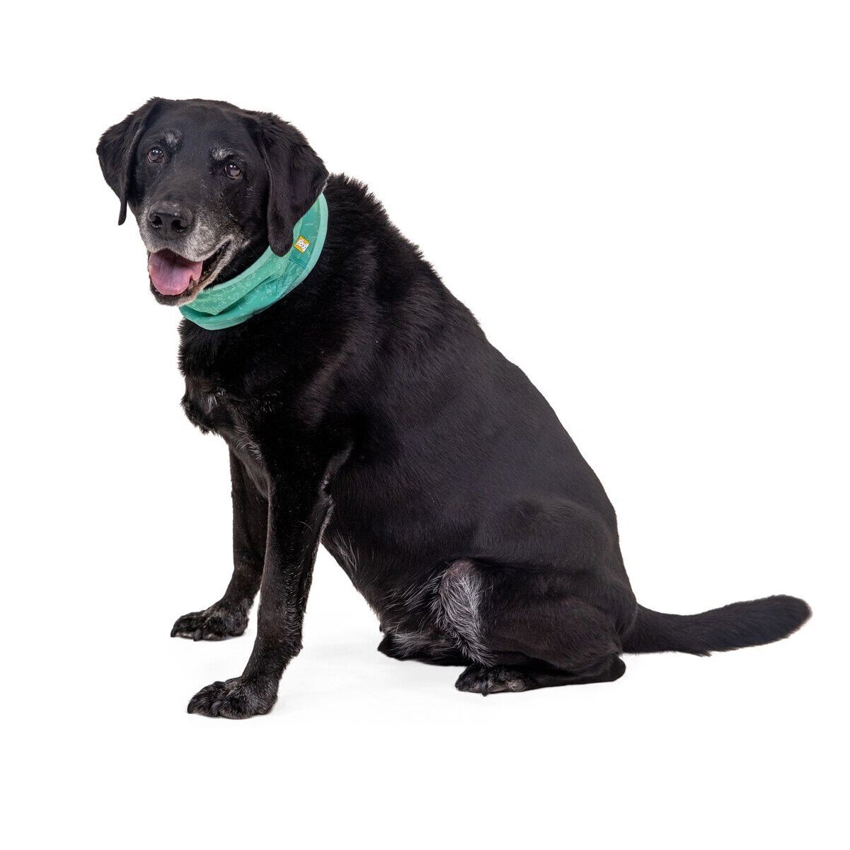 Swamp Cooler™ Halstuch Bild 15