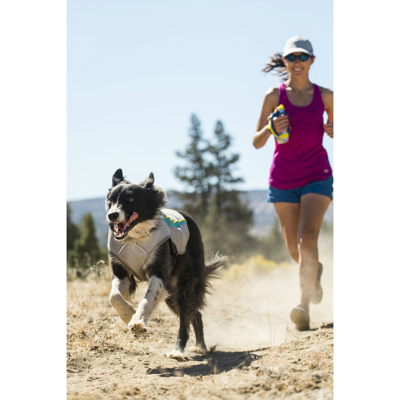 Ruffwear Swamp Cooler Kühlweste für Hunde Bild 8