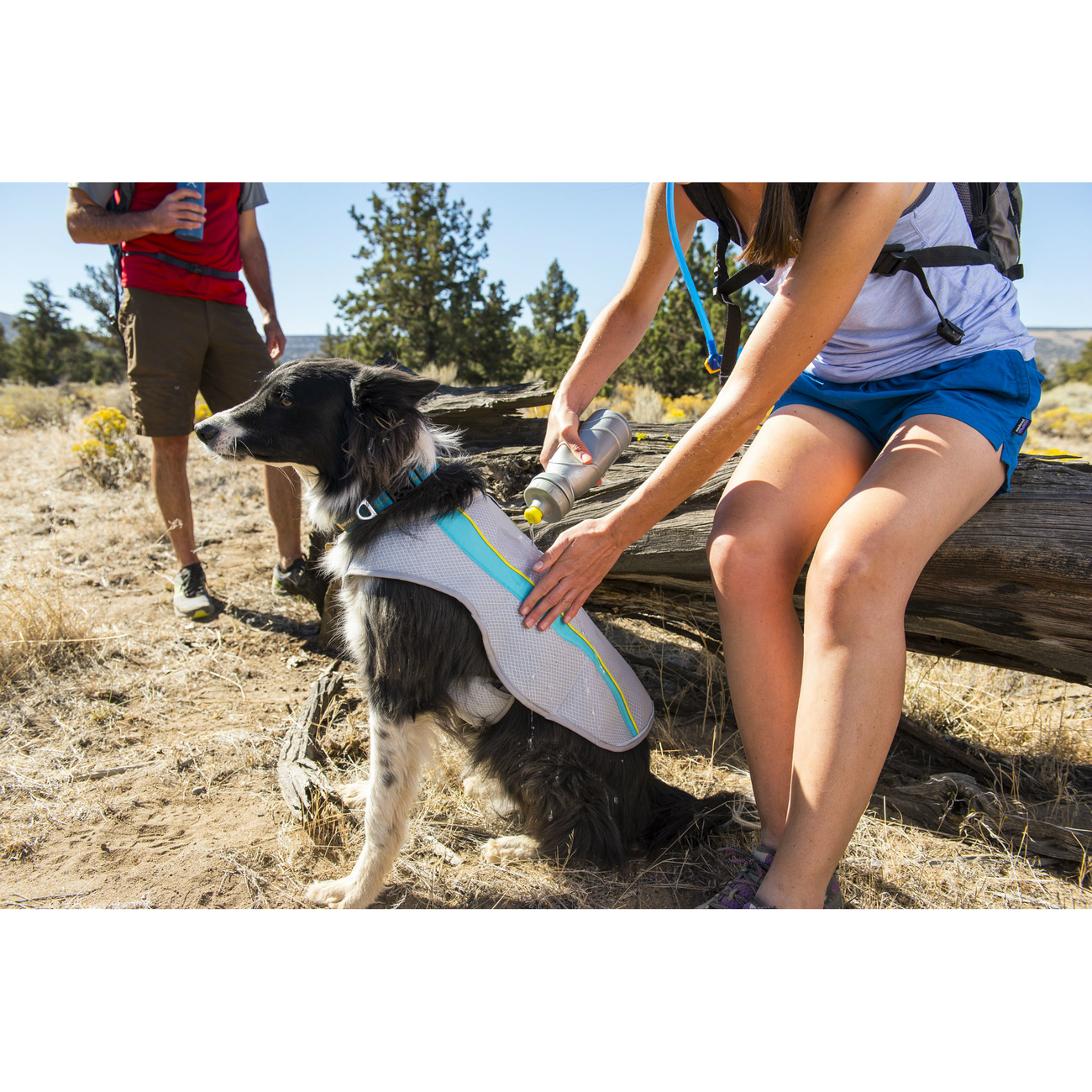 Ruffwear Swamp Cooler Kühlweste für Hunde Bild 2