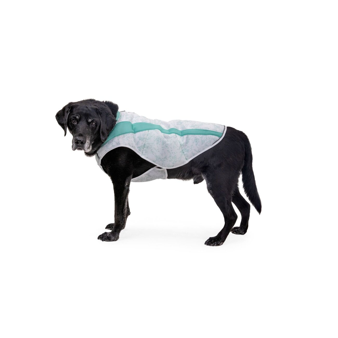 Ruffwear Swamp Cooler Kühlweste für Hunde Bild 11