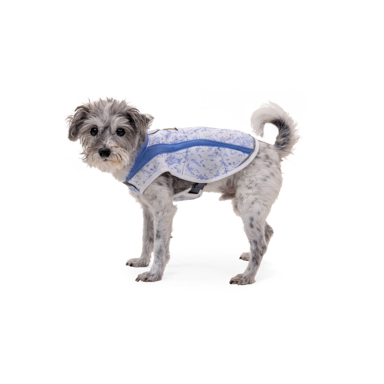 Ruffwear Swamp Cooler Kühlweste für Hunde Bild 28