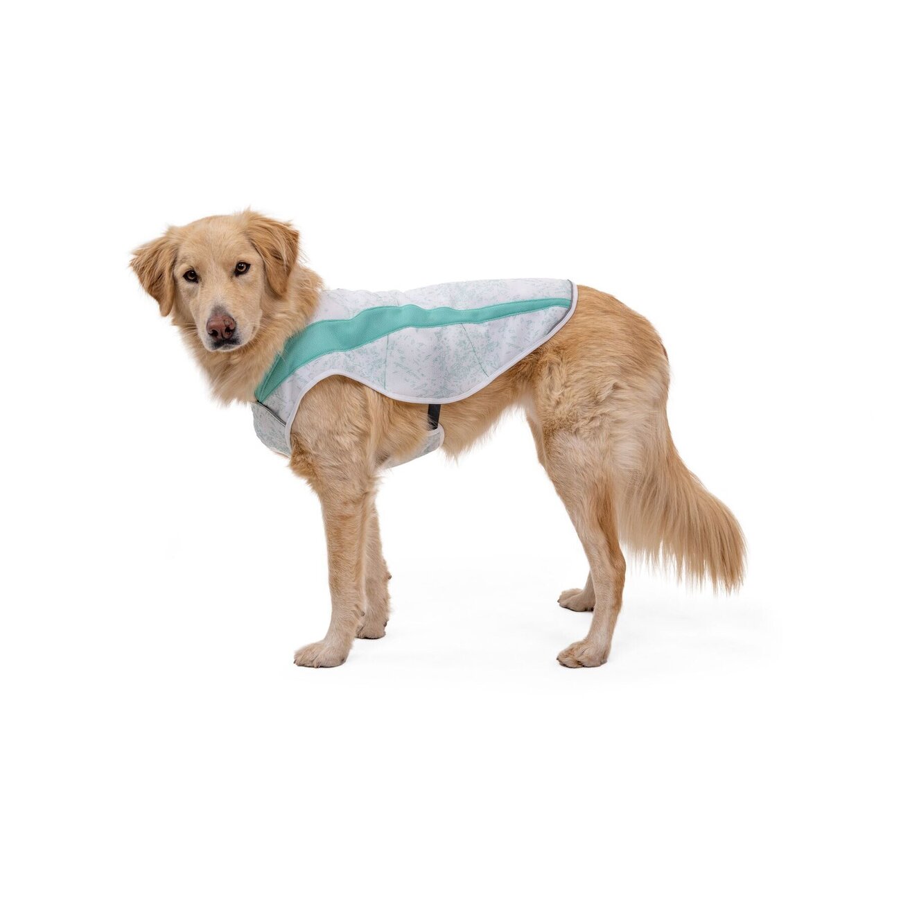 Ruffwear Swamp Cooler Kühlweste für Hunde Bild 12